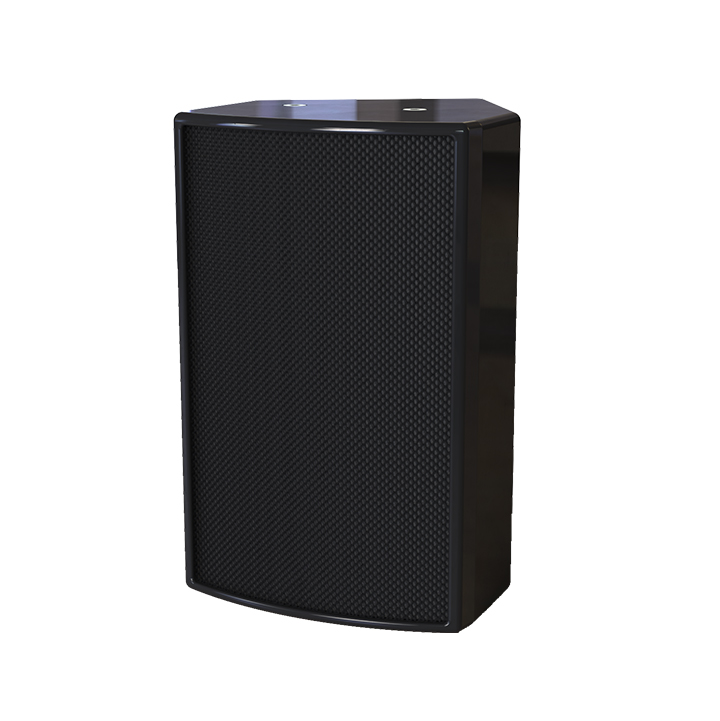 Loa thụ động hai chiều 6 inch