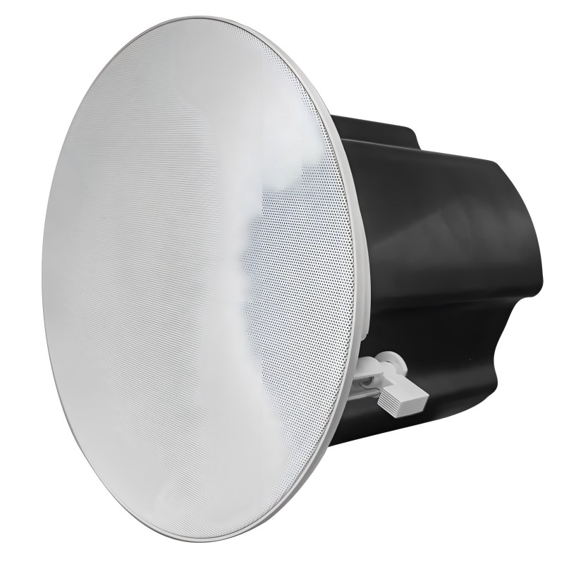 Dante Poe loa trần hoạt động 6 inch